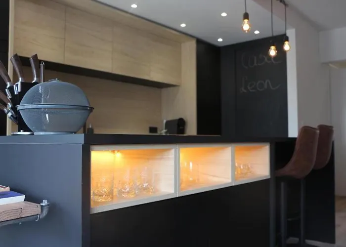 Casa Leon 公寓 奥斯滕德